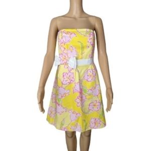 Lilly Pulitzer Amberly Dress 4